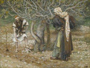 The Vinedresser and the Fig Tree, James Tissot  (1836-1902)