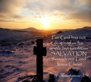 Bulletin cover 11.19.23