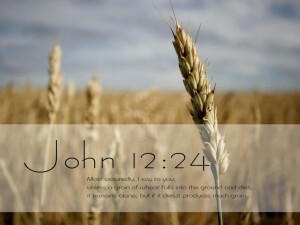 Bulletin cover 3.17.24