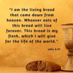 Bulletin cover 8.18.24